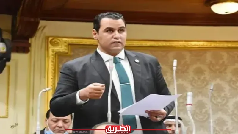 برلماني: قرارات الرئيس في عيد العمال تعزز العدالة الاجتماعية