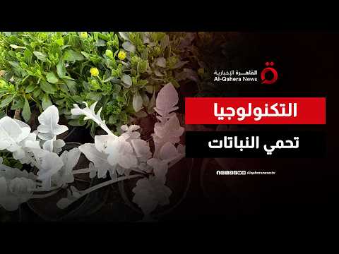 الذكاء الاصطناعي والرقمنة.. أدوات جديدة لإنقاذ أنواع النباتات المهددة بالانقراض