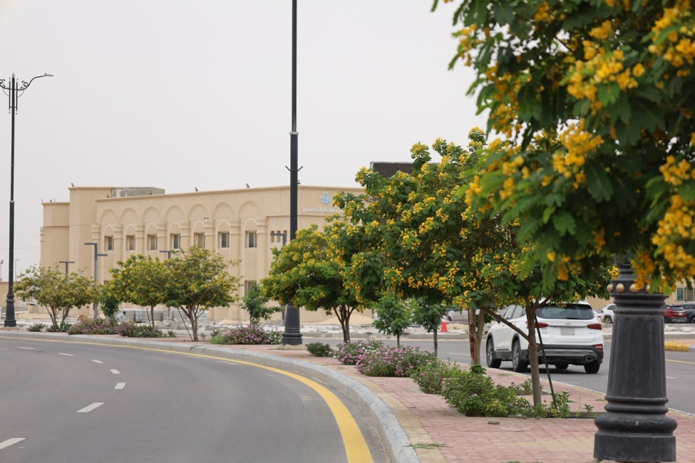 بقيق.. إنجاز 75% من مشروع «ستريب» وتكثيف أعمال البنية التحتية