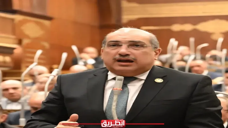 برلماني: تحركات السيسي الإقليمية تؤكد أن أمن الخليج خط أحمر وجزء لا يتجزأ من أمن مصر