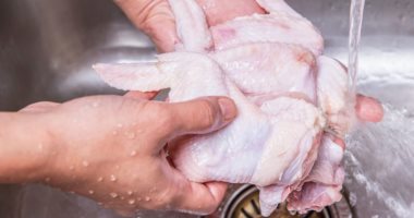 لماذا لا يجب غسل الدجاج تحت الماء الجارى.. 5 خطوات لطريقة التنظيف الصحية