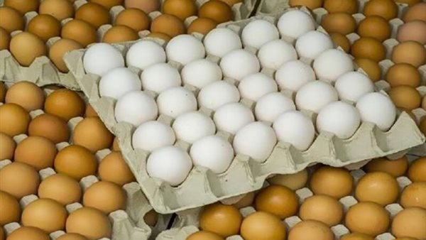 انخفاض البلدي 5 جنيهات، سعر كرتونة البيض اليوم السبت في بورصة الدواجن