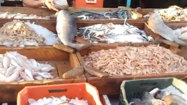 سعر السمك اليوم، انخفاض البربون وارتفاع 7 أصناف منها البلطي والجمبري
