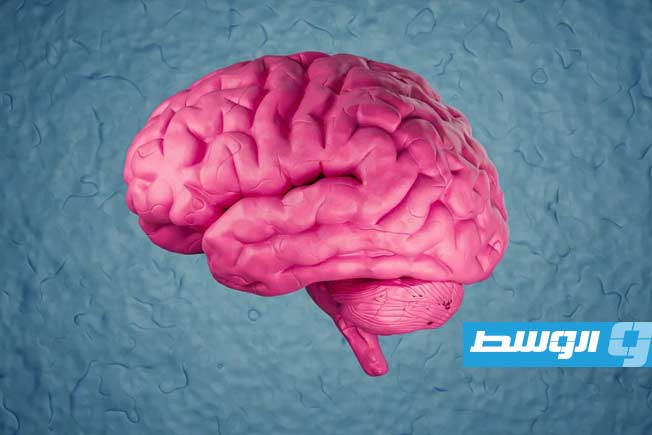 دراسة: تغيير نمط الحياة يقلل خطر الخرف بنسبة 16%