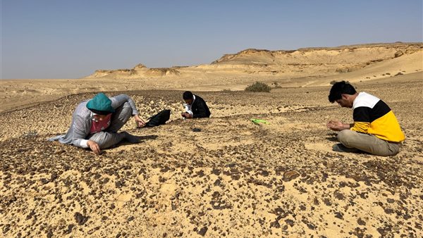 محطة مهمة في تاريخ البحث العلمي المصري، إنجاز غير مسبوق بجامعة المنصورة، فريق بحثي يتوصل إلى أسلاف القردة العليا، وباحثة مصرية تزين "Science" العالمية