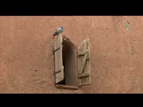 النعامة - سياحة | تيوت.. لوحة طبيعية بامتداد تاريخي عميق