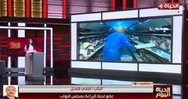 عضو بـ"زراعة النواب" يهاجم منتجي الدواجن: "المنتج يربح منذ 10 سنوات"