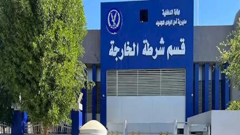 مباحث الوادي الجديد تضبط توأمًا بحوزتهما مواد مخدرة
