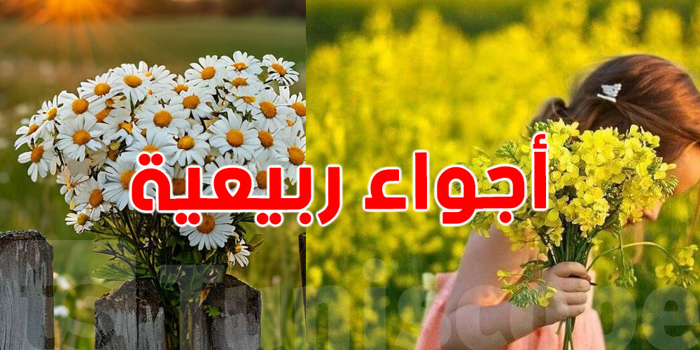 اليوم في تونس: يوم يتساوى فيه الليل والنهار… شنوّة الحكاية؟