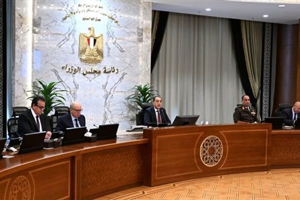 9 قرارات مهمة لـ "الوزراء" تشمل الكهرباء والمشروعات التنموية والتعليم والصحة والبنية التحتية (تفاصيل)