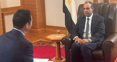 وزير الخارجية: تعاون اقتصادي بين مصر واليابان ومشروعات مشتركة بأفريقيا