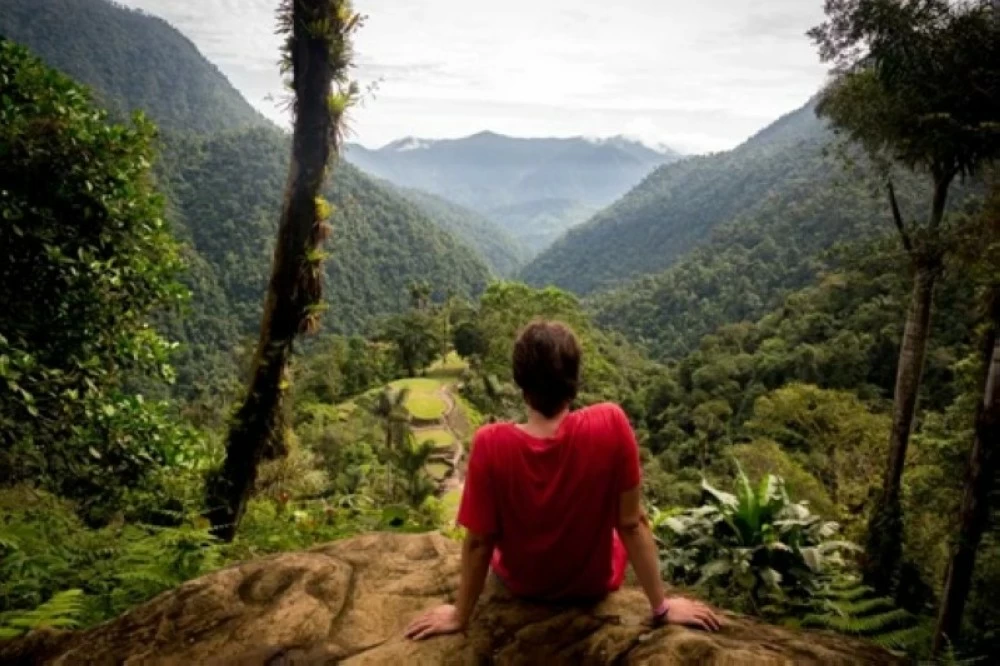 كيف أخفت غابات كولومبيا «مدينة السماء»؟