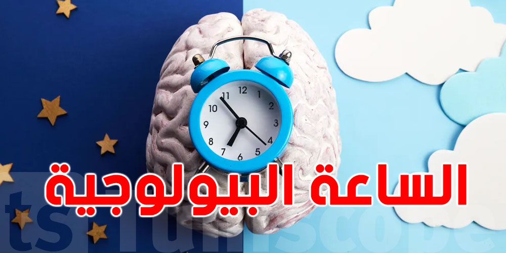 هل فعلاً جسمك ينظّف نفسه في ساعات معيّنة؟ الحقيقة كاملة