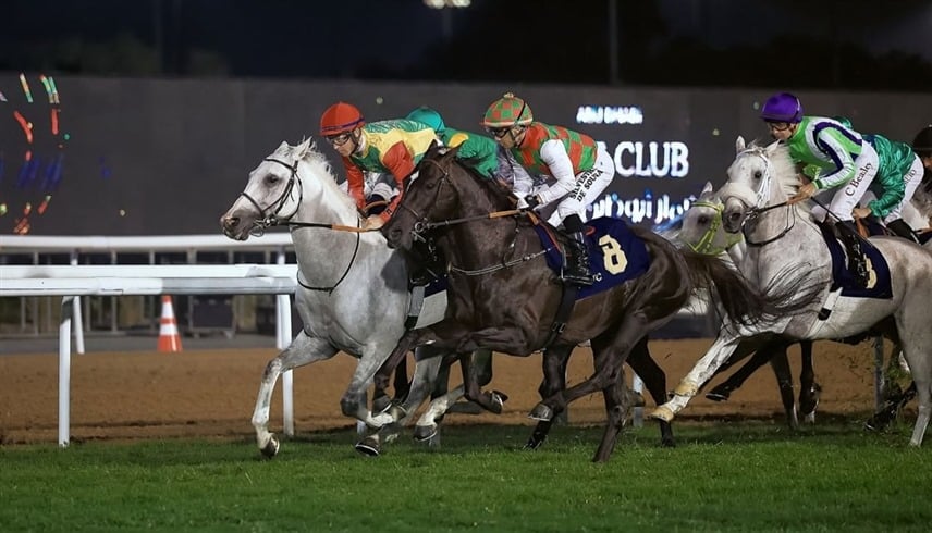 104 خيول تتنافس على مضمار أبوظبي بإجمالي جوائز 534 ألف درهم