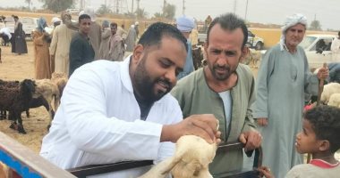 تحصين 19 ألف رأس ماشية ضمن الحملة القومية البيطرية بأسوان