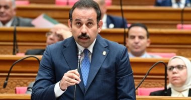 المدير التنفيذي لمستقبل مصر لـ"النواب": ثورة 30 يونيو فرقت بين الحق والباطل