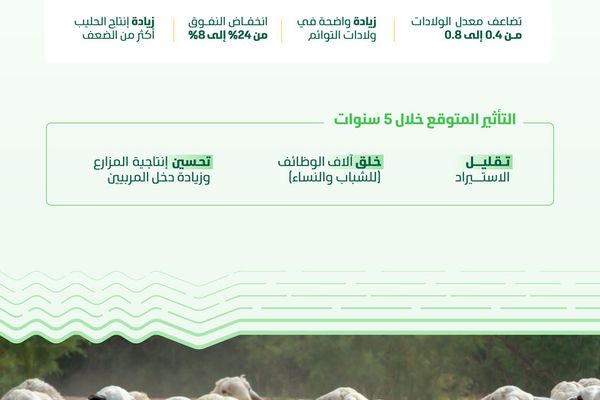 دراسة علمية جديدة تعزز إنتاجية المجترات الصغيرة وتدعم الأمن الغذائي