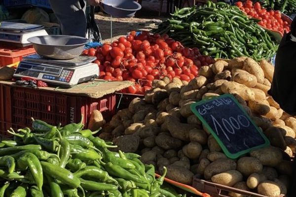 القيروان الأولى وطنيا في الفلفل والثانية في إنتاج الطماطم