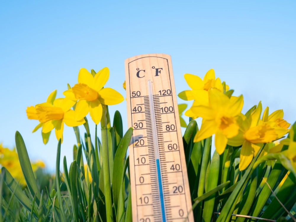 الدمام 30 مئوية.. بيان درجات الحرارة العظمى على بعض مدن المملكة