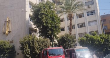 السجن 3 سنوات لطالبين وعامل في واقعة الاعتداء على طالب الجيزة بشارع خوفو