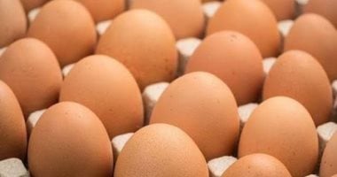 ثبات أسعار البيض والبقوليات اليوم الخميس فى سوهاج
