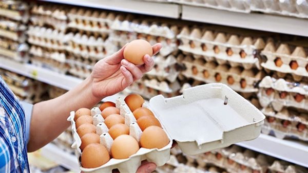الأبيض والأحمر يواصلان الانخفاض، سعر كرتونة البيض اليوم ببورصة الدواجن