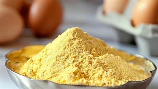 مصر تبدأ تصدير البيض المجفف إلى أسواق الشرق الأوسط في خطوة لتعزيز القيمة المضافة
