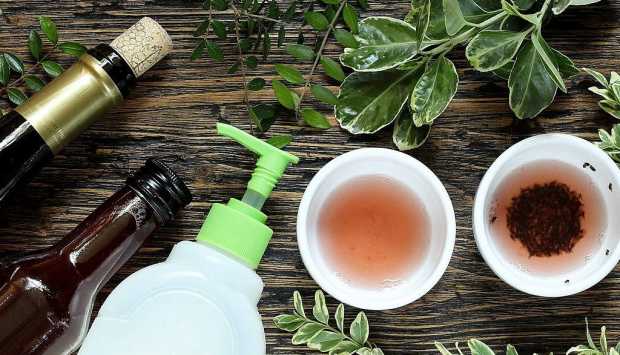 طرق طبيعية للتخلص من الناموس في المنزل بسهولة