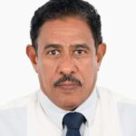 عندما يتحول “التحليل” إلى عنصرية: قراءة في خطاب أماني الطويل عن السودان