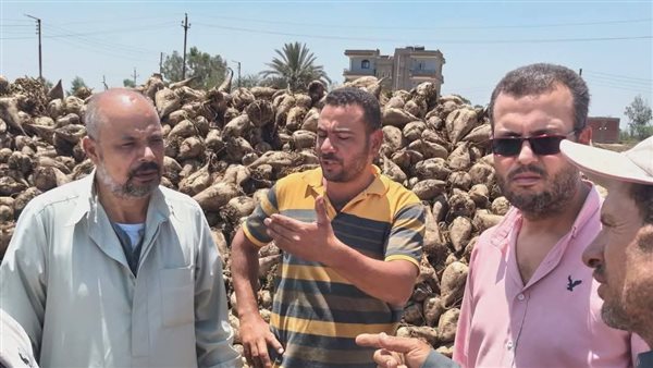 ​زراعة الدقهلية تستجيب لـ"فيتو" وتتحرك لحل أزمة نقل بنجر السكر في غزالة (صور)