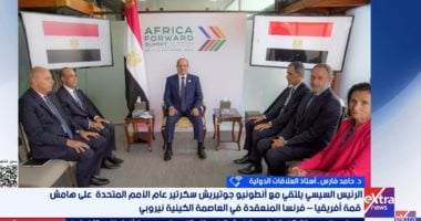 أستاذ علاقات دولية: مصر تتبنى رؤية استراتيجية لدعم الأمن والتنمية فى أفريقيا