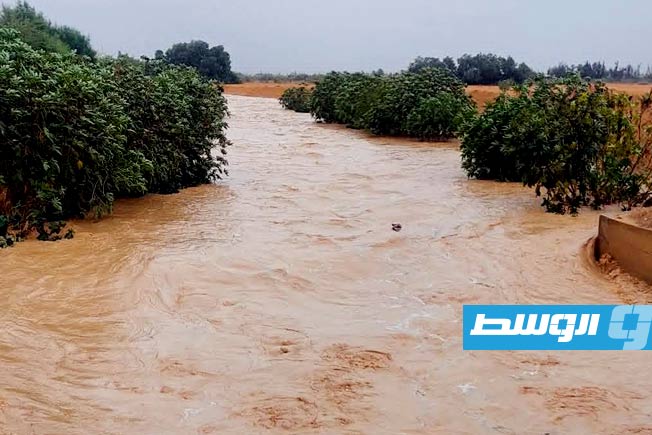 مؤسسة رؤية: المنخفض الجوي ينتقل إلى مناطق ومدن الخليج والدواخل بدءًا من منتصف الليل