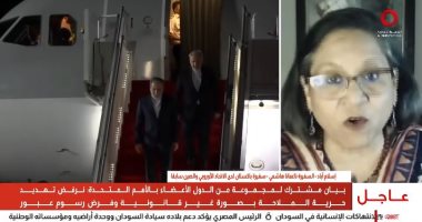 السفيرة ناغمانا هاشمي: مصر والسعودية وتركيا وقطر تتابع جهود الوساطة