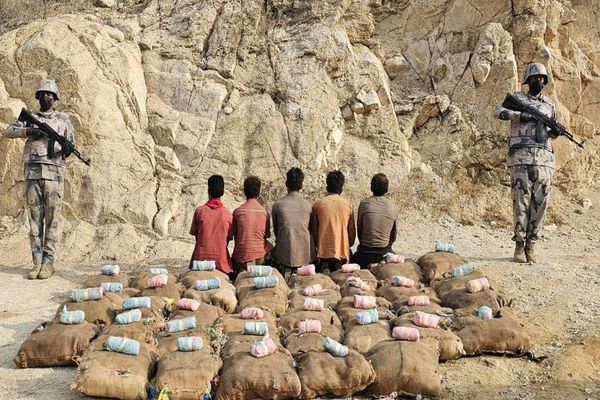 القبض على 5 يمنيين في جازان لتهريبهم (555) كجم "قات"