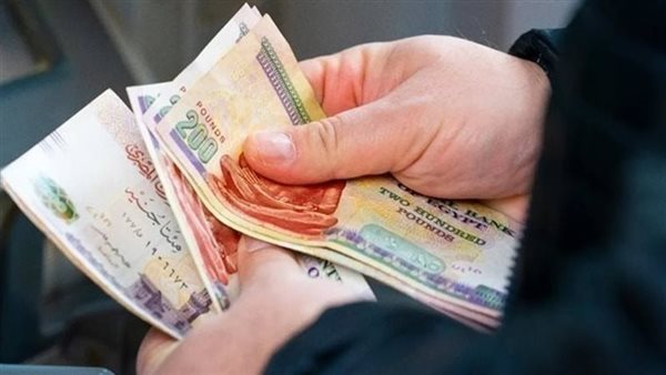 برلماني: سيستم التأمينات معطل للشهر الرابع ولا يوجد جدول زمني للحل