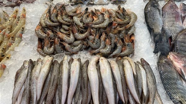 سعر السمك اليوم، انخفاض كبير في البلطي والمكرونة وارتفاع الكابوريا 20 جنيها