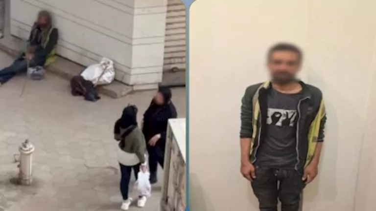 من فيديو على السوشيال لضبط المتهم.. الأمن يكشف تفاصيل واقعة الغربية