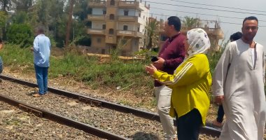 مجلس مدينة كفر الزيات يرفع الأشجار المتساقطة على قضبان السكة الحديد بقرية مشلة