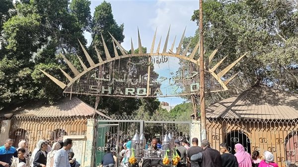 سعر التذكرة 5 جنيهات، مديرة حديقة حيوان الزقازيق تكشف تفاصيل خطة عيد الفطر