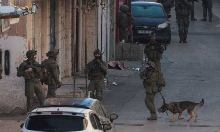 الضفة.. إسرائيل تعتقل 16 فلسطينية بحملة مداهمات في قلقيلية- (فيديو)