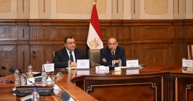 خارجية الشيوخ: قيادة الرئيس السيسى نقل مصر من العوز لشراكات استراتيجية
