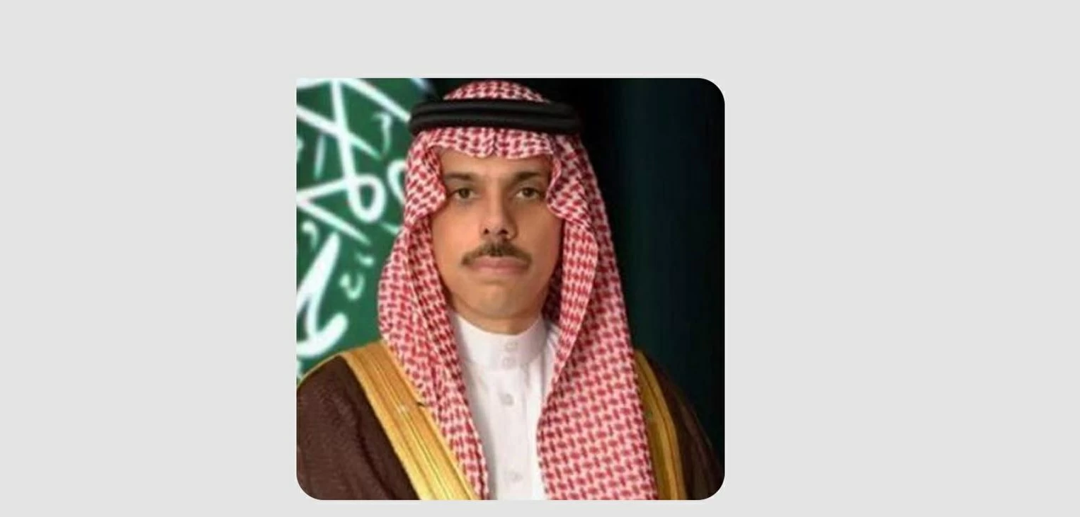 وزير الخارجية ونظيره التركي يبحثان تنسيق الجهود الإقليمية والدولية