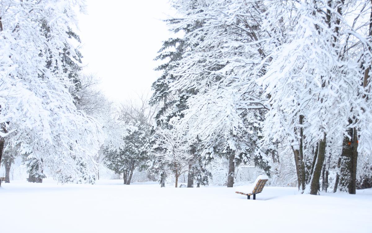مقاييس التساقطات الثلجية المسجلة بالمملكة