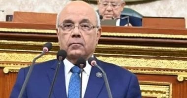 لأول مرة.. تنظيم قانونى للعاصمة الإدارية بمشروع "الإدارة المحلية"