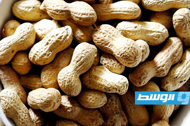 قشور الفول السوداني تتحول إلى مادة «الغرافين» الثورية في ابتكار علمي واعد
