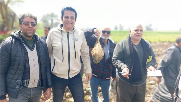 زراعة بني سويف تنظم يوم حصاد لمحصول بنجر السكر بمركز سمسطا