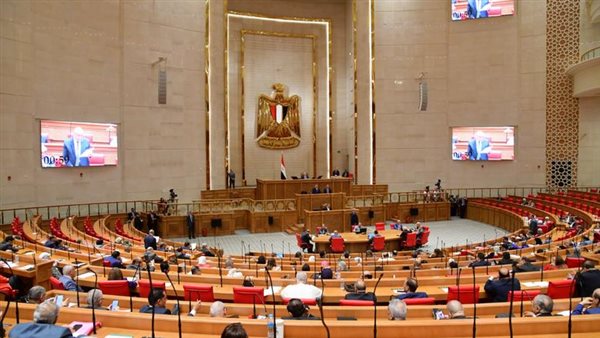 لجنة الشؤون الأفريقية بمجلس النواب تناقش آخر مستجدات الأزمة السودانية