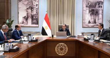 رئيس الوزراء يلتقي الرئيس التنفيذي لشركة "فاليو" الفرنسية