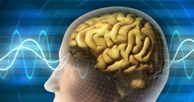 فقدان الذاكرة العابر.. حالة مؤقتة تحدث دون تلف دائم فى الدماغ