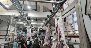 طفرة الـ464 مجزرا.. التنمية المحلية والبيئة استثمرت مليارات الجنيهات لتأمين مائدة المصريين وإنهاء فوضى الذبح العشوائى بالتكنولوجيا الخضراء.. مجازر مجانية وغرامات تصل إلى 10 آلاف جنيه عقوبة الذبح بالشا